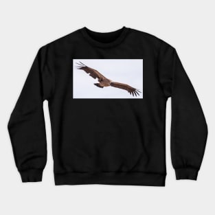 African White-Backed Vulture Crewneck Sweatshirt